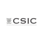 CSIC desarrollo web completo y a medida con php y msql