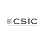 CSIC desarrollo web completo y a medida con php y msql